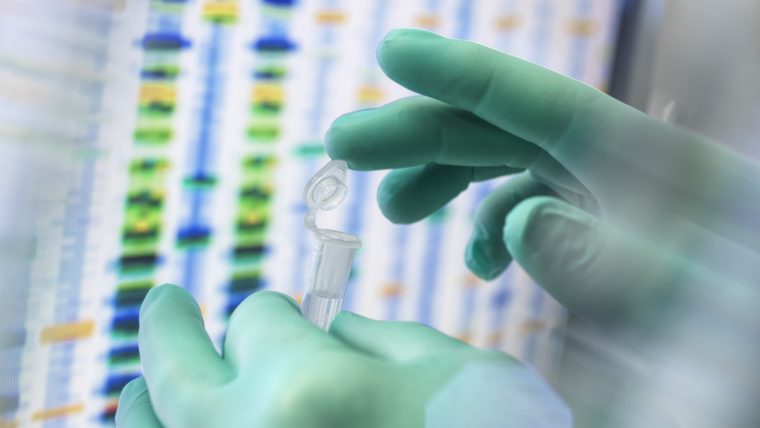 A scientist’s gloved hand holding a microcentrifuge tube