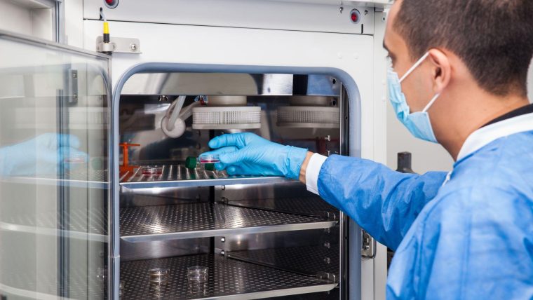 Image of a researcher in the lab.