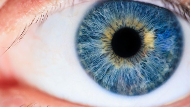 a close-up of an eye with a blue and gold iris